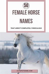 Image result for Mare Horse Names