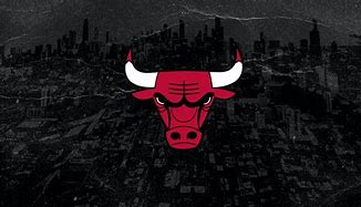 Image result for Chicago Bulls Number 23