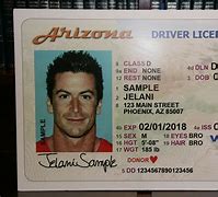 Image result for Michigan Driver's License