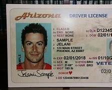 Image result for State Drivers License Templates