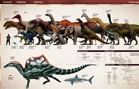 Image result for Size Comparison of Dinosaurs
