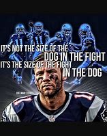 Image result for New England Patriots Memes