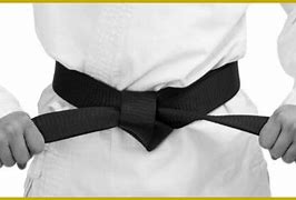 Image result for Black Belt Karate