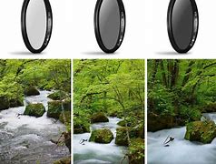 Image result for Different Camera Filters
