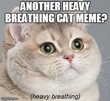 Image result for Heavy Breathing Funny Memes