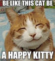 Image result for Happy Kitty Meme
