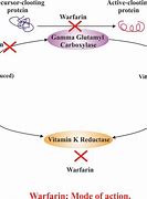Image result for Warfarin