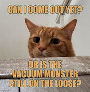 Image result for Cat Vacuum Meme