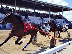 Image result for Harness Racing Sulky