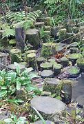 Image result for Homemade Stepping Stones