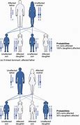 Image result for Hereditary Examples
