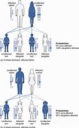 Image result for Homozygous Traits Examples