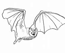 Image result for Bat Draw