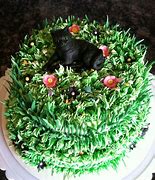 Image result for Nature Cat Cake
