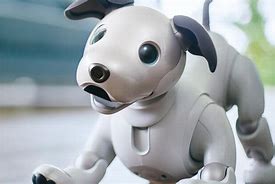 Image result for Free Sony Aibo Robot Dog