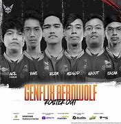 Image result for aerowol
