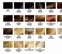 Image result for Schwarzkopf Keratin Color Chart 2A