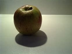 Image result for Red Apple with Leaf Shadow Image