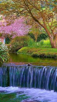Image result for Nature Wallpaper Android