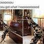 Image result for Dalmatian Memes
