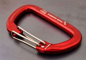 Image result for Double Wire Gate Carabiner