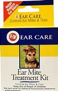 Image result for Best Cat Ear Mite Treatment