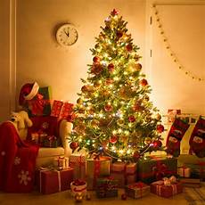 piedistallo per albero di natale i consigli per un albero di natale perfetto peraga piedistallo per albero di natale i consigli per un albero di natale perfetto peraga