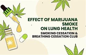 Image result for Marijuana Effects On Lungs