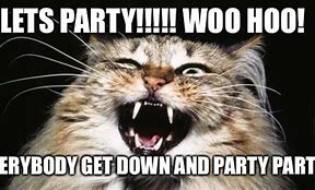 Image result for Let's Party Funny