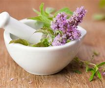 Image result for Herbal Healing