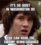 Image result for Washington DC Swamp Meme
