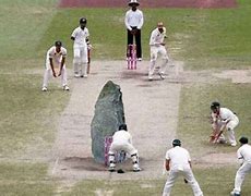 Image result for Cricket Before