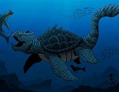 Image result for Dragon Turtle