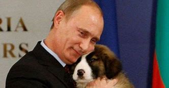 Image result for Vladimir Putin Dog