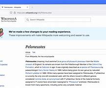 Image result for Wikipedia Layout