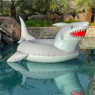 Image result for Inflatable Pool Floats