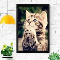 Image result for Cute Kitten Posters