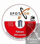 Image result for Spoton Falcon