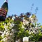 Image result for Champagne Celabrarion