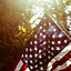 Image result for American Flag Ipone Wallpaper