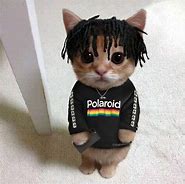 Image result for Yeat Cat Meme