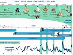 Image result for Funny Human Evolution Timeline