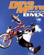 Image result for Dave Mirra Freestyle BMX 3