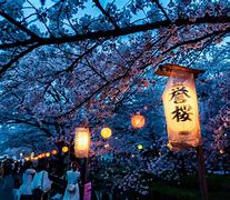 Image result for Sakura Festival Japan