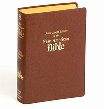 Image result for African American Bible