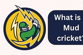 Image result for Mud Cricket Sticker