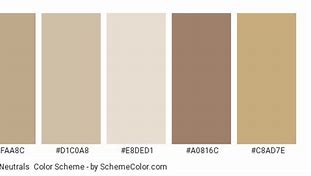 Image result for Neutral Color Palette Hex Beige