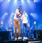 Image result for Dub Inc Concert