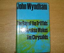Image result for John Wyndham the Red Stuff