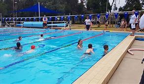 Image result for High School Swimming Carnival